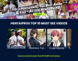 Hentai Pros Network